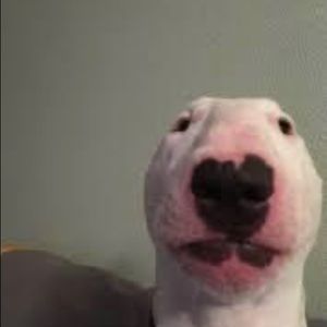 Meet your Posher, Makenzie